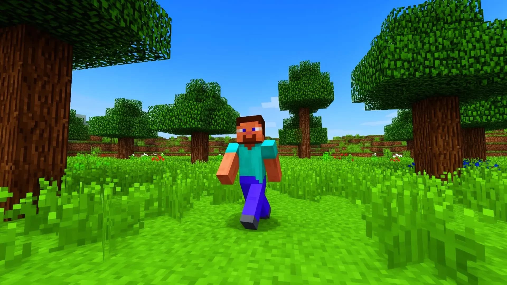 Minecraft